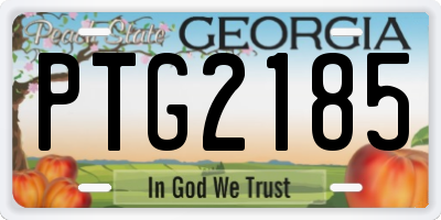 GA license plate PTG2185