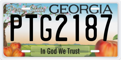 GA license plate PTG2187