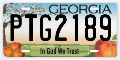 GA license plate PTG2189