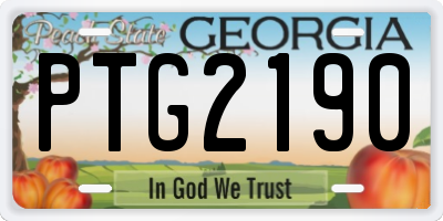 GA license plate PTG2190