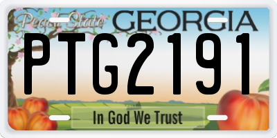 GA license plate PTG2191