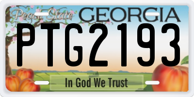 GA license plate PTG2193