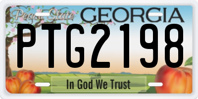 GA license plate PTG2198