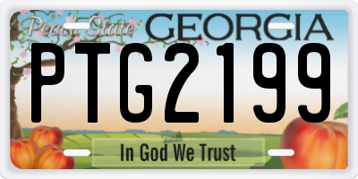 GA license plate PTG2199