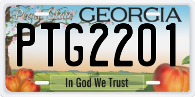GA license plate PTG2201