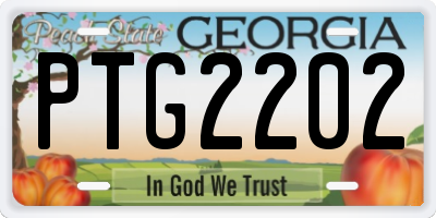 GA license plate PTG2202