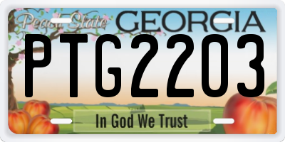 GA license plate PTG2203