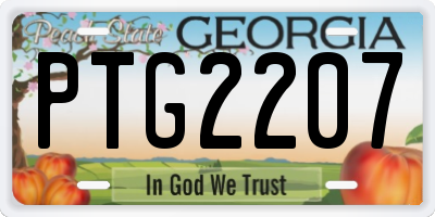 GA license plate PTG2207