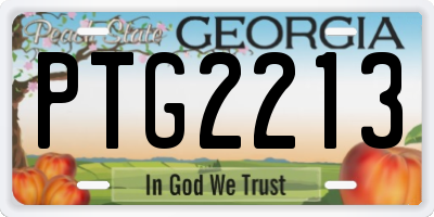 GA license plate PTG2213