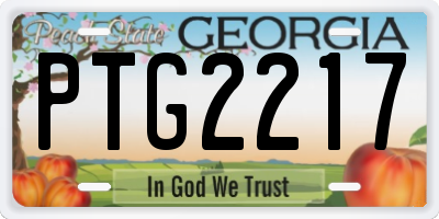 GA license plate PTG2217