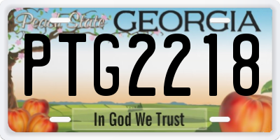 GA license plate PTG2218