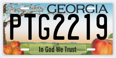 GA license plate PTG2219