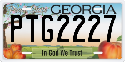 GA license plate PTG2227
