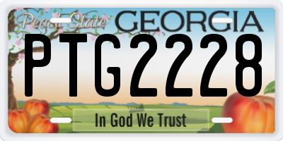 GA license plate PTG2228