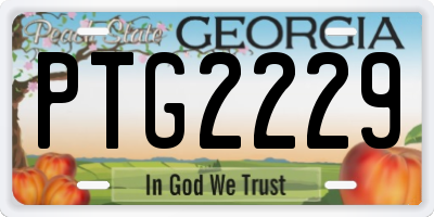 GA license plate PTG2229