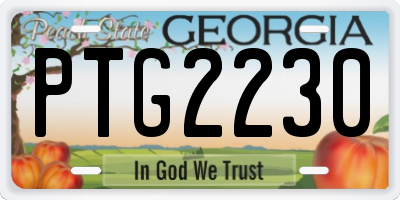 GA license plate PTG2230