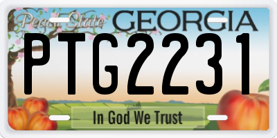 GA license plate PTG2231