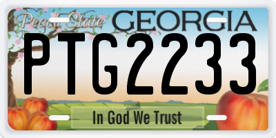 GA license plate PTG2233