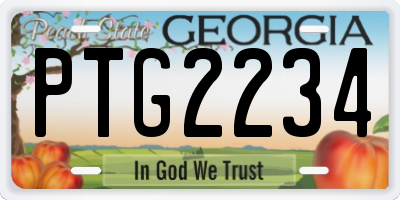 GA license plate PTG2234