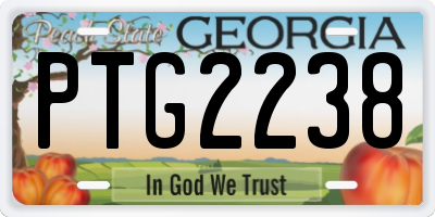 GA license plate PTG2238