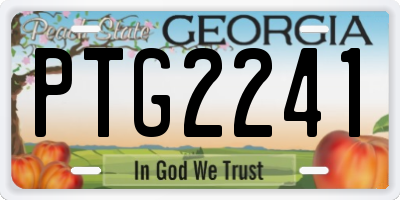 GA license plate PTG2241