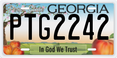 GA license plate PTG2242