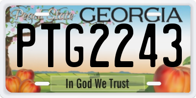 GA license plate PTG2243