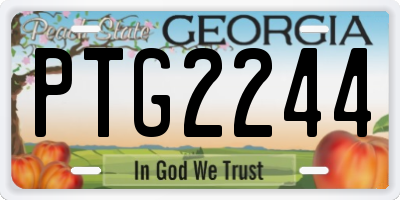 GA license plate PTG2244