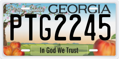 GA license plate PTG2245