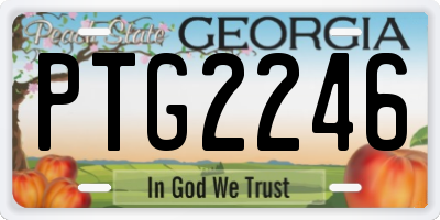GA license plate PTG2246