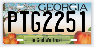GA license plate PTG2251