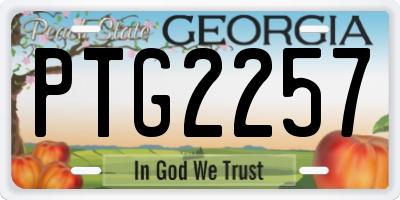 GA license plate PTG2257