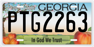 GA license plate PTG2263