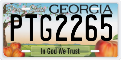 GA license plate PTG2265