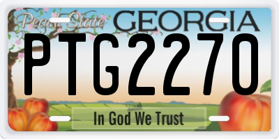 GA license plate PTG2270