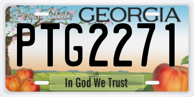 GA license plate PTG2271