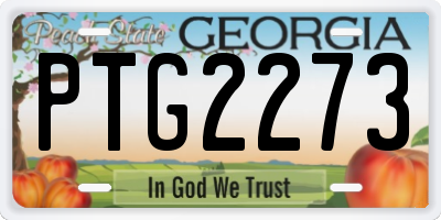 GA license plate PTG2273