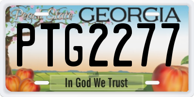 GA license plate PTG2277