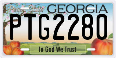 GA license plate PTG2280
