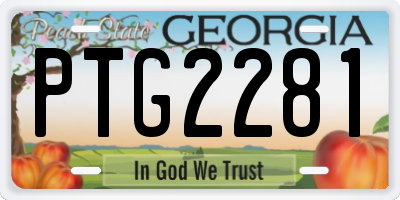 GA license plate PTG2281
