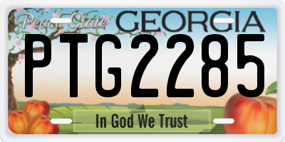GA license plate PTG2285