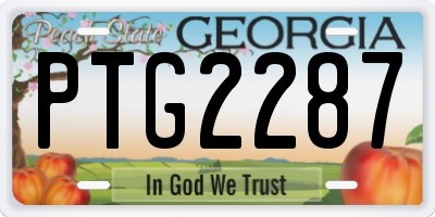GA license plate PTG2287