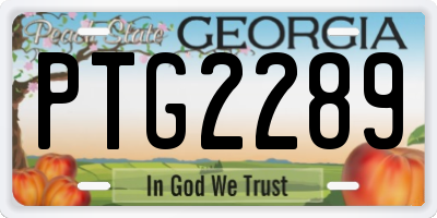 GA license plate PTG2289