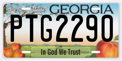 GA license plate PTG2290