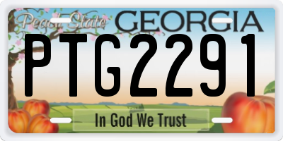 GA license plate PTG2291