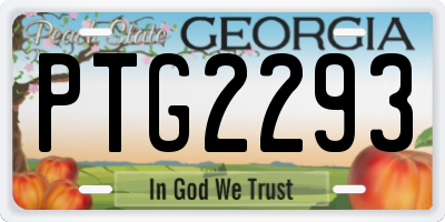 GA license plate PTG2293
