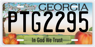 GA license plate PTG2295