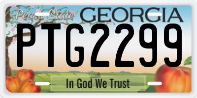 GA license plate PTG2299