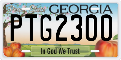 GA license plate PTG2300