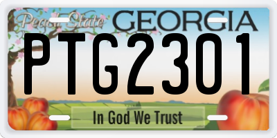 GA license plate PTG2301